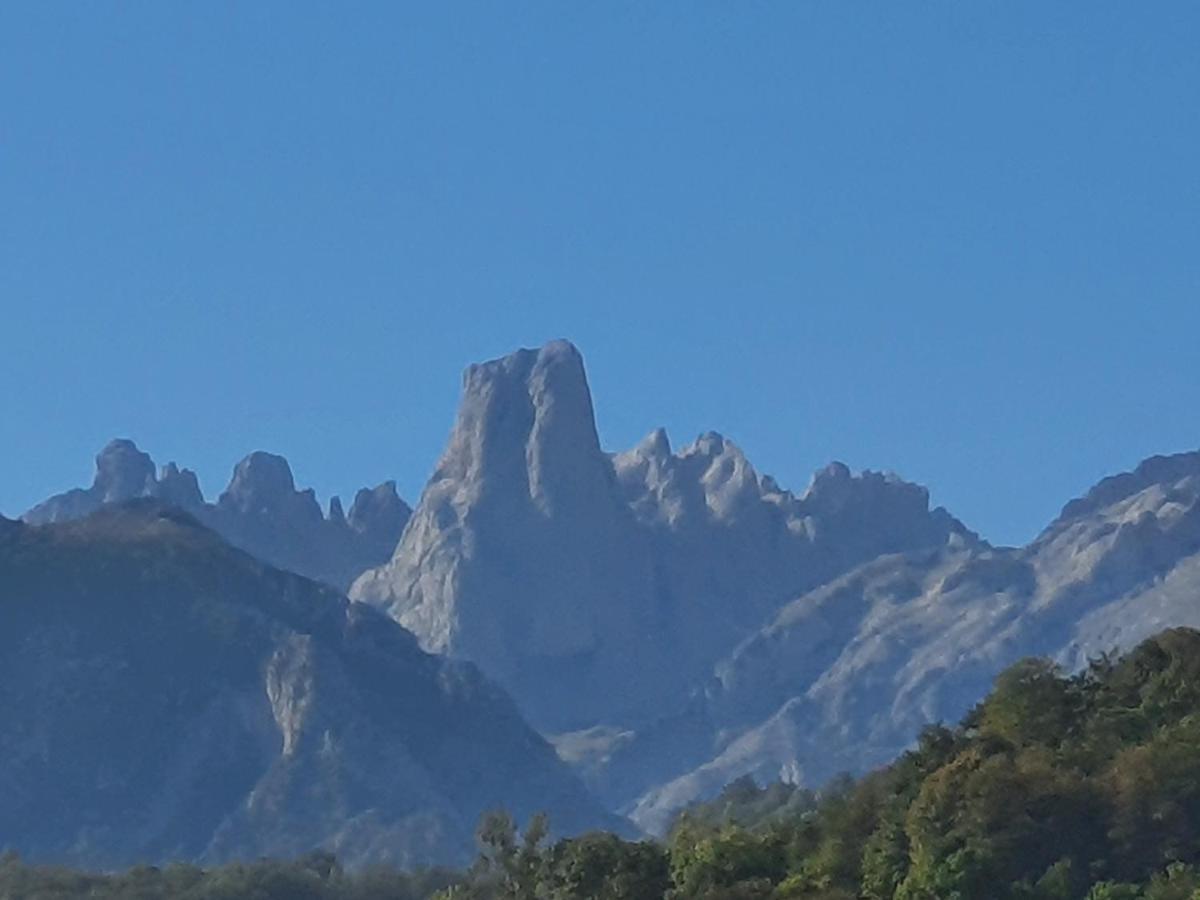 La Estancia De Cangas - Amplio Piso Con Garaje Onís Buitenkant foto