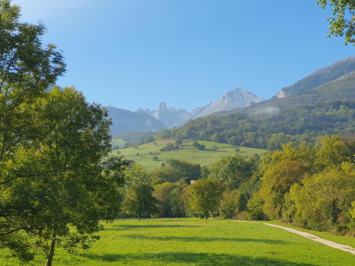 La Estancia De Cangas - Amplio Piso Con Garaje Onís Buitenkant foto