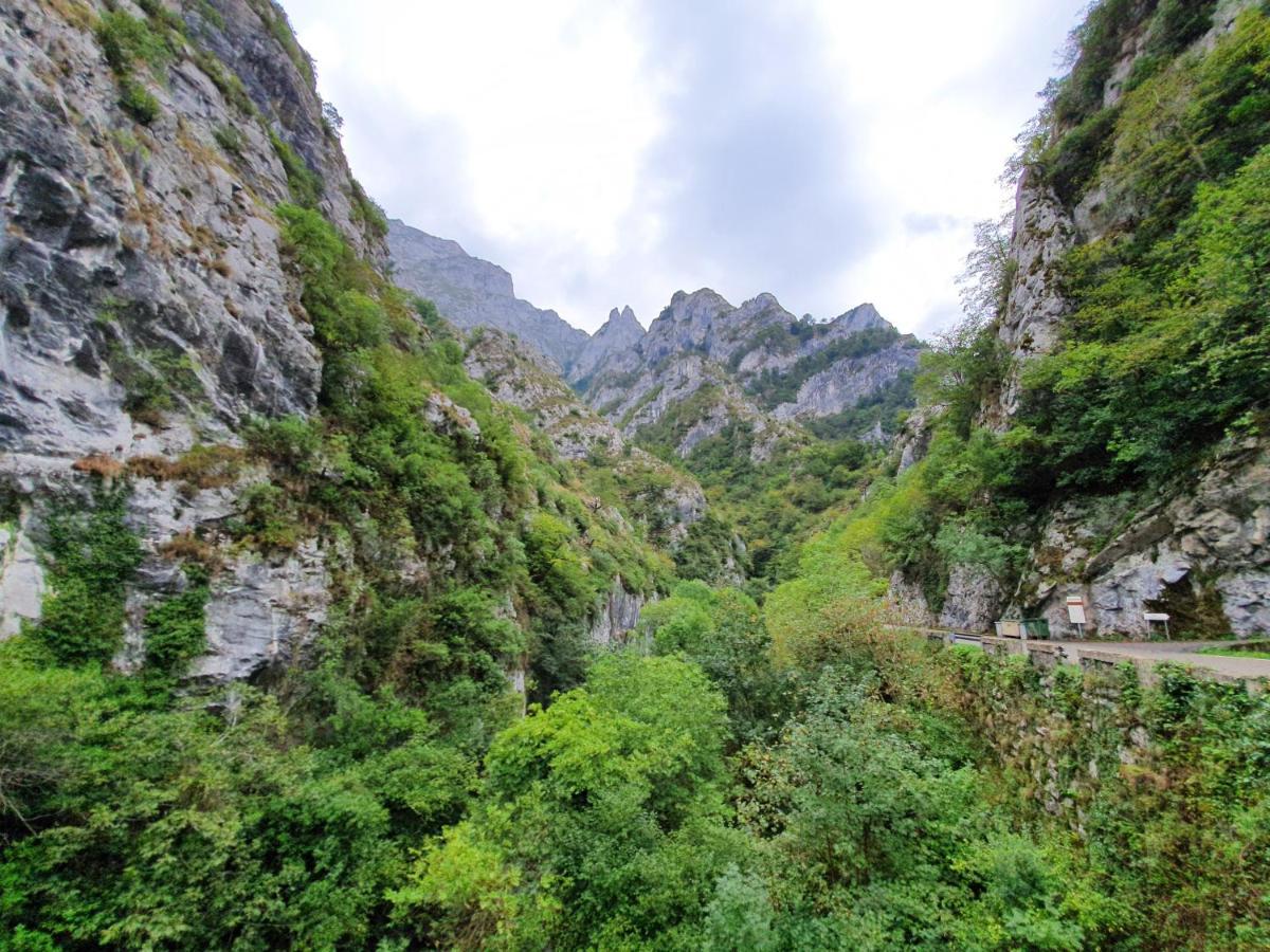 La Estancia De Cangas - Amplio Piso Con Garaje Onís Buitenkant foto