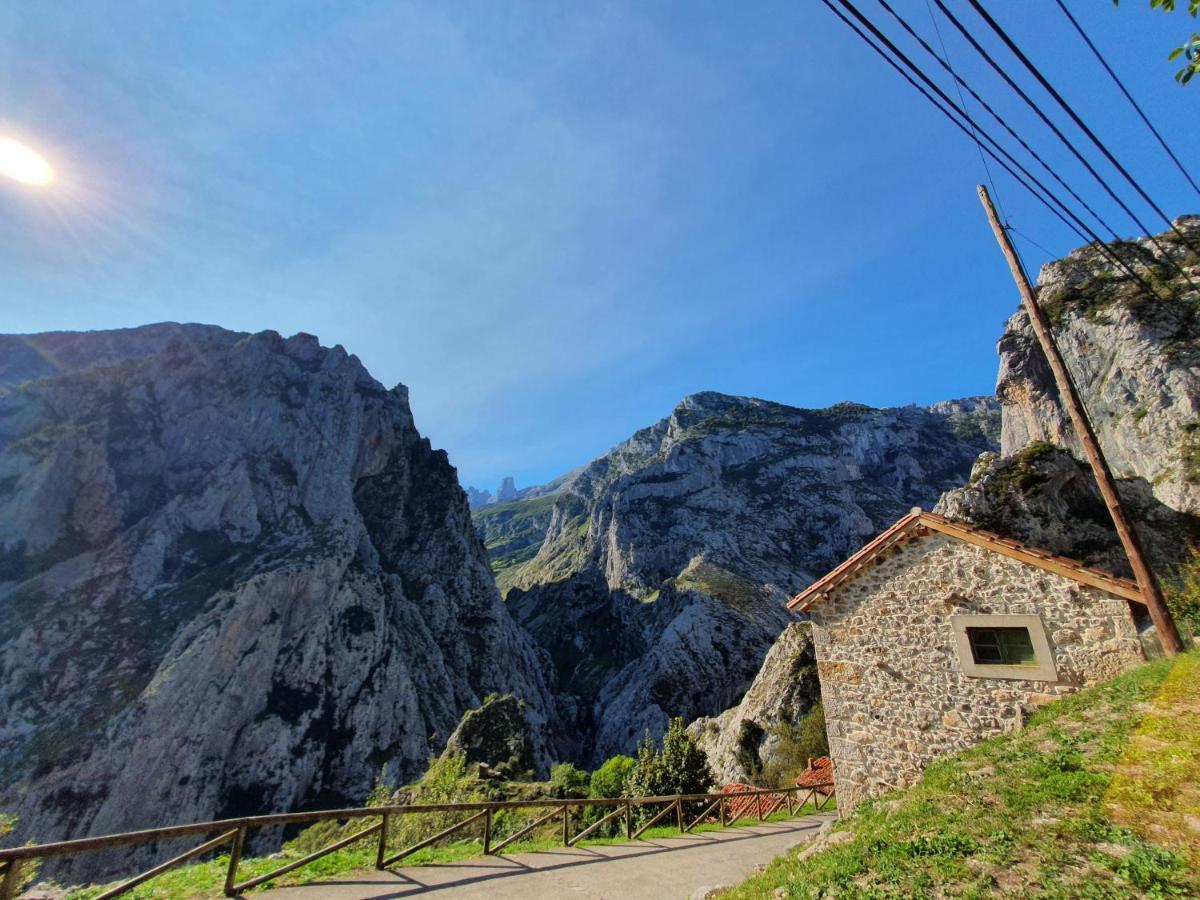 La Estancia De Cangas - Amplio Piso Con Garaje Onís Buitenkant foto